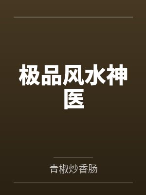 极品风水师小说
