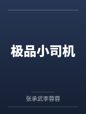 极品小司机