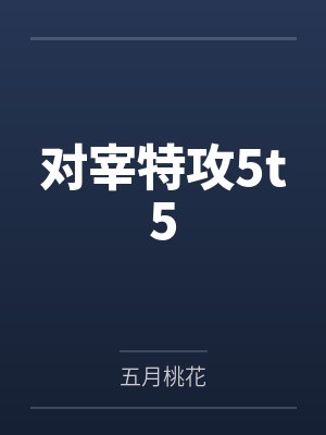 对宰特攻5t5