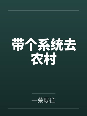 带个系统去农村